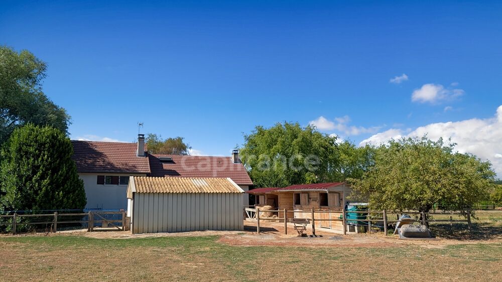 Vente Maison LANS (71) à vendre propriété de 116 m² 5 pièces - aménagement équestre et terrain de 26 264 m² (Futur DPE en D) Lans