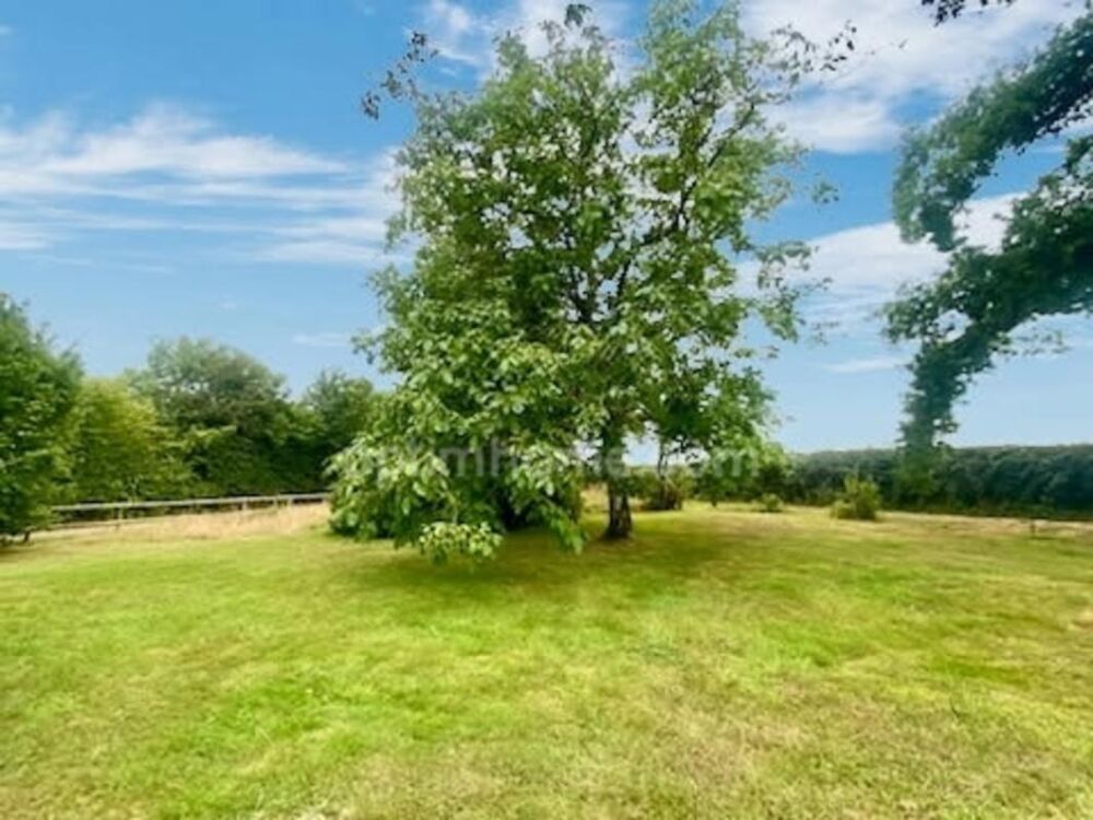 Vente Maison Agréable maison  - Secteur recherché - 4 Chambres - Grenier aménagé - Sous sol avec garage Pont l eveque