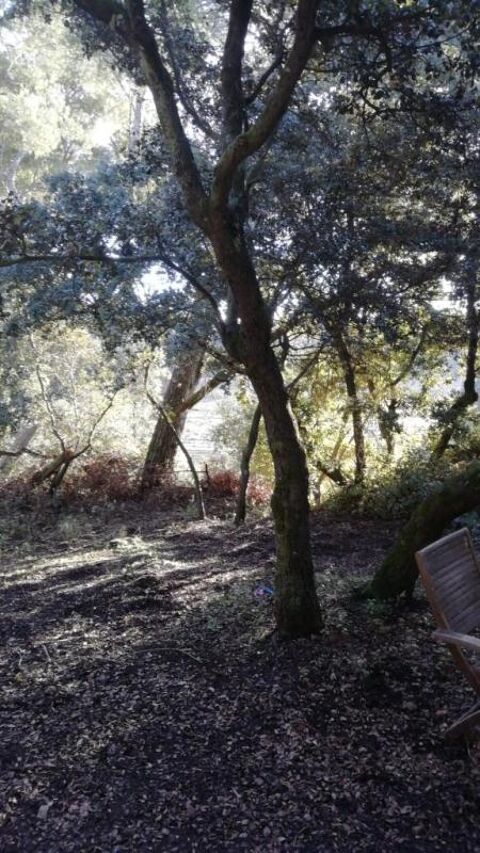  Maison � louer 2 pi�ces 63 m�