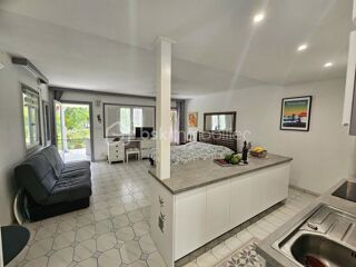  Appartement � vendre 1 pi�ce 41 m�