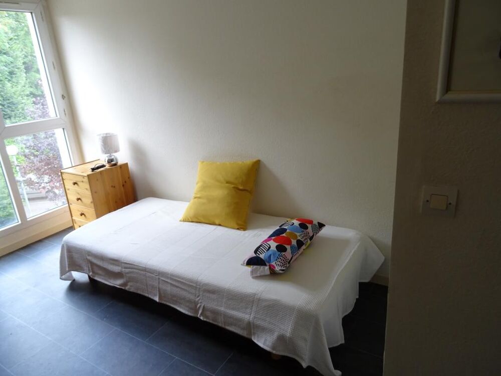 Location Appartement Studio de 20m2  louer sur St Jean le Blanc Saint jean le blanc