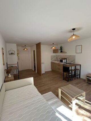  Appartement à louer 1 pièce 30 m²