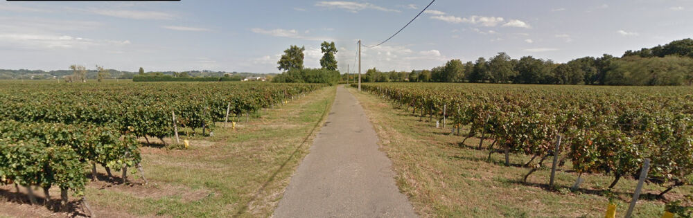 � vendre  Maison Saint-Magne-de-Castillon (33350)