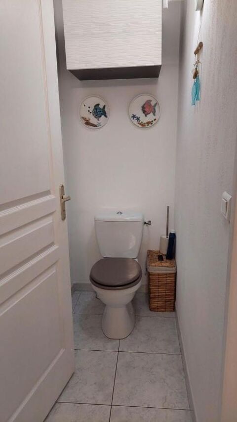  Appartement � louer 3 pi�ces 55 m�