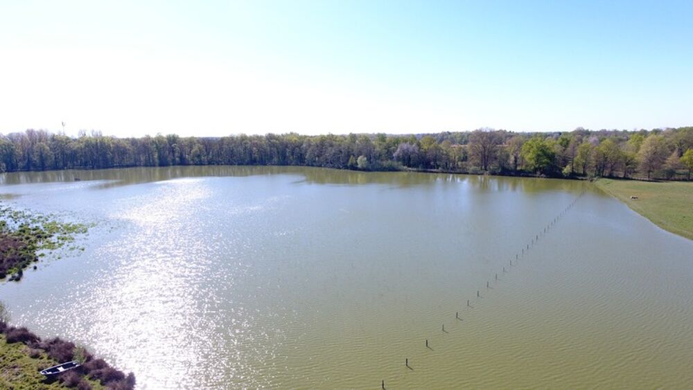 � vendre  Propri�t�/ch�teau Le Plantay (01330)