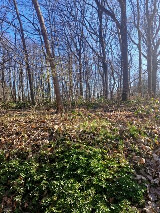  Terrain � vendre 1886 m�
