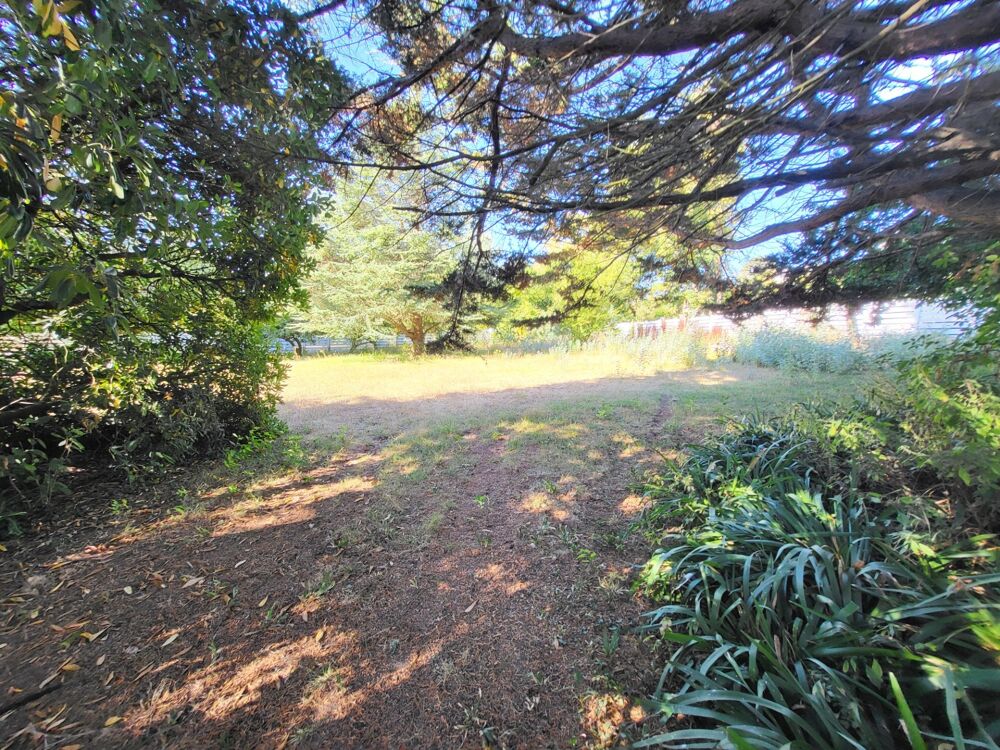 Vente Terrain Terrain constructible à vendre  CAMARET SUR MER (29) Camaret sur mer