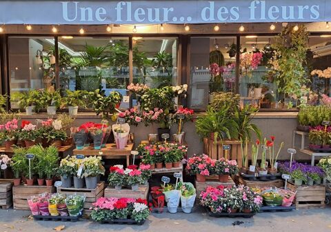 Commerces/Negoce 121000 75016 Paris