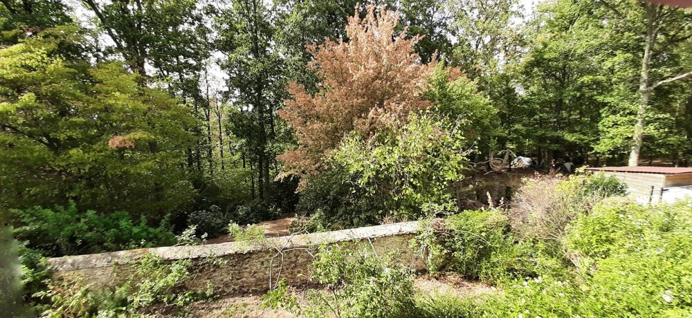 Vente Maison Maison à vendre 6 pièces BURES SUR YVETTE (91), spacieuse, 4 chambres, sous-sol total, terrain 1 565 m2 Bures sur yvette