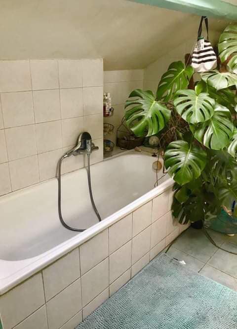  Appartement � louer 1 pi�ce 16 m�