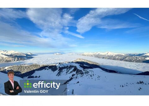 Commerces/Negoce 250000 74300 Araches la frasse