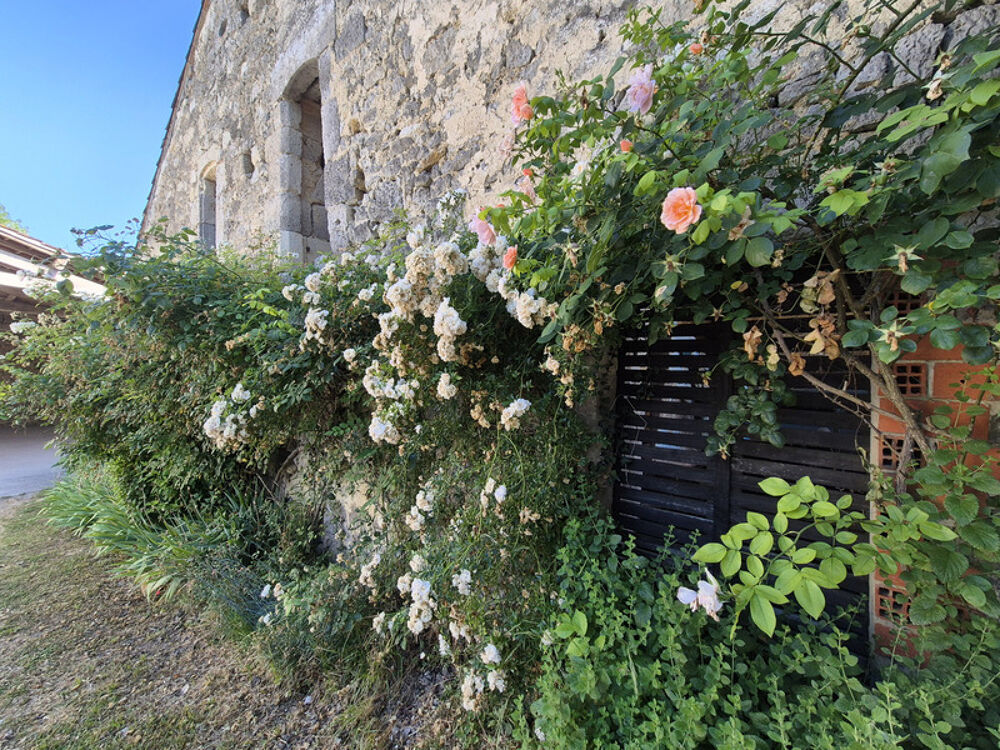 Vente Maison Propriété sur 1,3 hectare boisé entre Condom (32100) et Nérac (47600) Lasserre