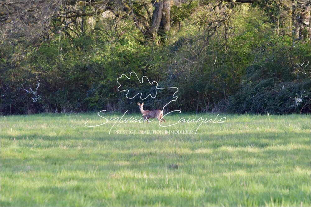 Propriété de Chasse ou d'Agrément de 39 hectares