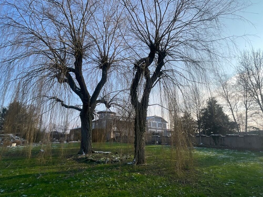  vendre  Maison Le Coteau (42120)