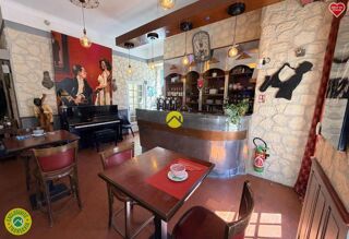  Hôtel Particulier à vendre 12 pièces 225 m²