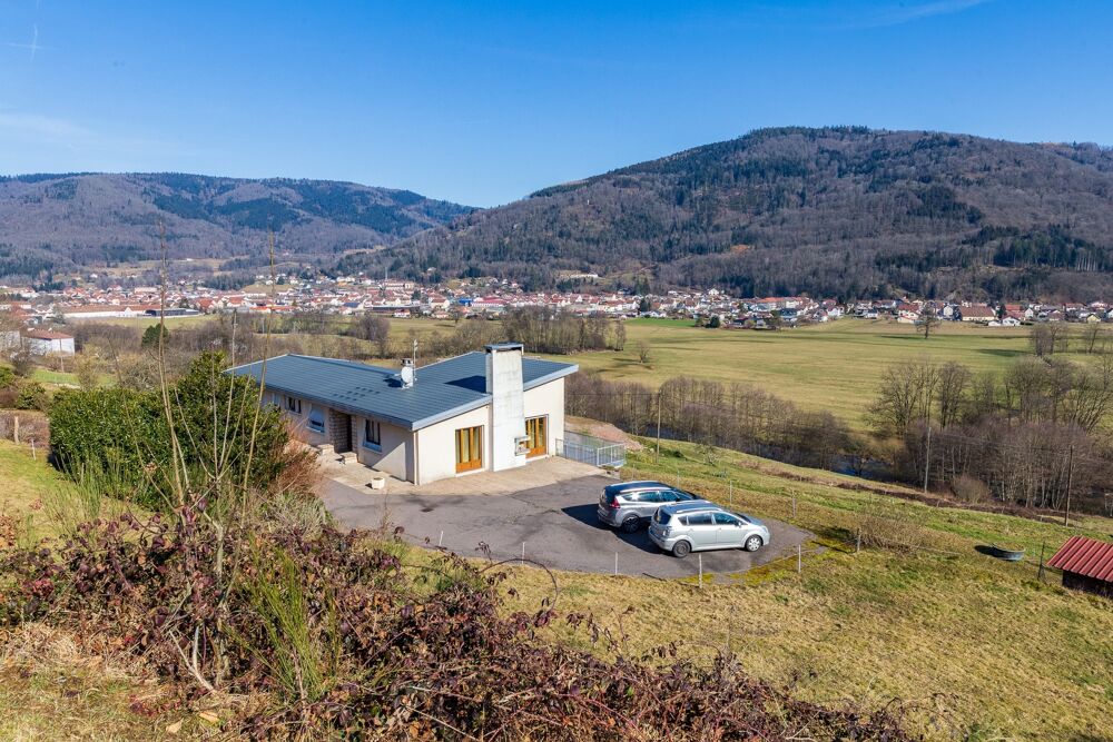 RUPT SUR MOSELLE (88)A vendre propriété T 10 pièces de 195m² sur sous sol + 4 box à chevaux +rucher, terrain 3.6 hectares