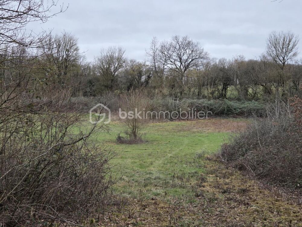 Vente Terrain Terrain non constructible Blanzay