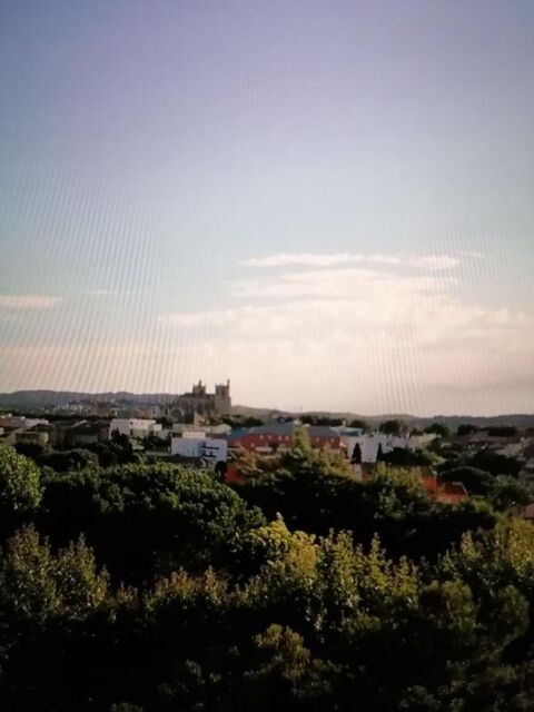  Appartement � louer 1 pi�ce 20 m�