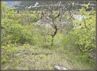  Terrain  vendre 732 m