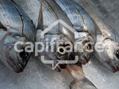   Dpt Charente Maritime (17), à vendre  Poissonnerie 