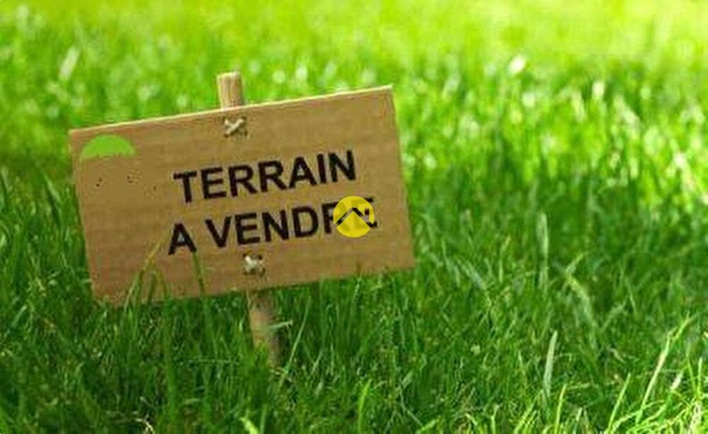Vente Terrain TERRAIN A BATIR-MOUTERRE SILLY Loudun