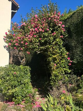  Maison � vendre 5 pi�ces 126 m�