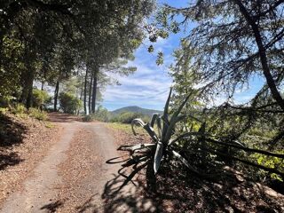  Maison � vendre 6 pi�ces 196 m�