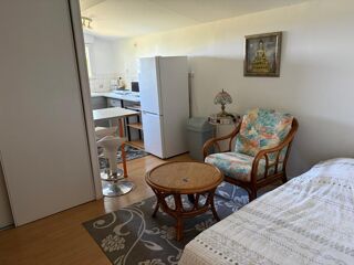  Appartement à louer 1 pièce 20 m²