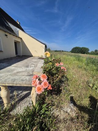 Maison à vendre 6 pièces 214 m²