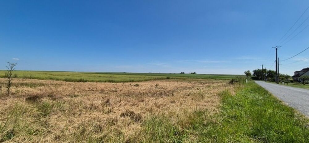 Vente Terrain A vendre - Terrain à bâtir à PLIVOT (51150), proche EPERNAY Plivot