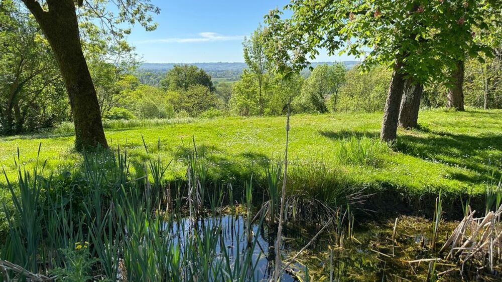 Vente Propriété/Château Domaine de 11 hectares avec vue dominante et ensemble de deux habitations aux portes de Bergerac (24) Bergerac