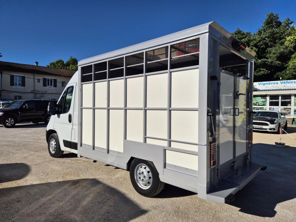 Movano B&eacute;taill&egrave;re 2.2 140 cv 2022 occasion 84300 Cavaillon
