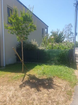  Appartement à louer 3 pièces 64 m² Pau