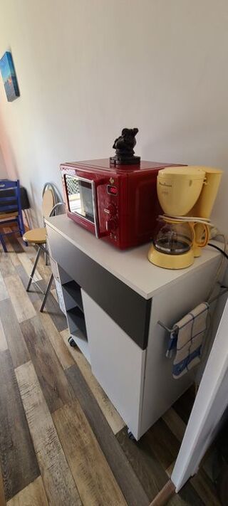  Appartement à louer 1 pièce 17 m²
