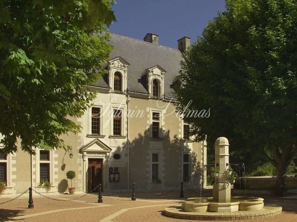 Vente Propriété/Château Propriete à vendre 50 pièces proche de AMBOISE (37) Amboise