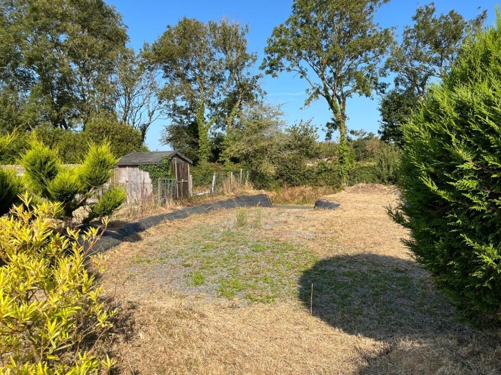 Vente Maison À seulement 5 km de Barneville-Carteret, charmante maison en pierre avec jardin arboré Barneville carteret
