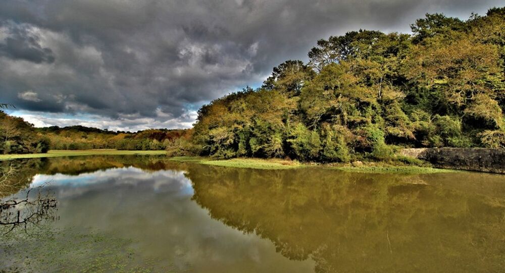  vendre  Proprit/chteau Saint-Martin-de-Seignanx (40390)