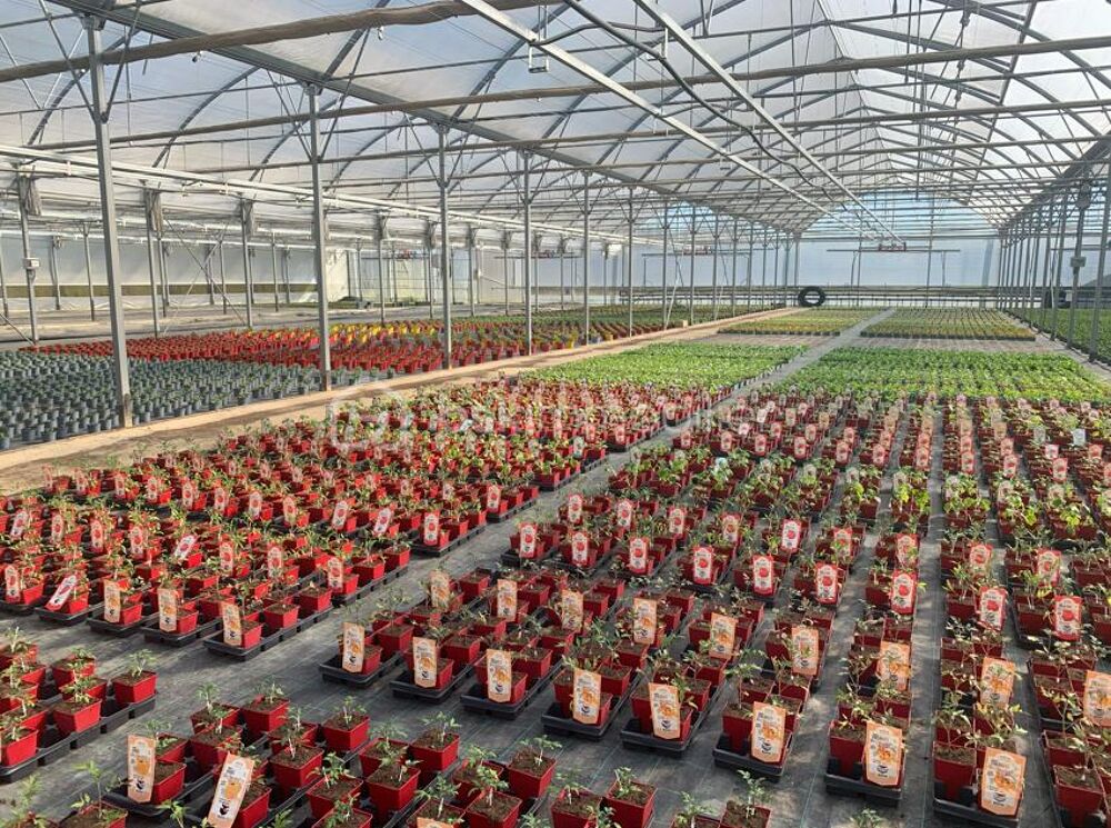 Vente Propriété/Château Proche Nogaro - Propriété Horticole de 3ha avec habitation Nogaro