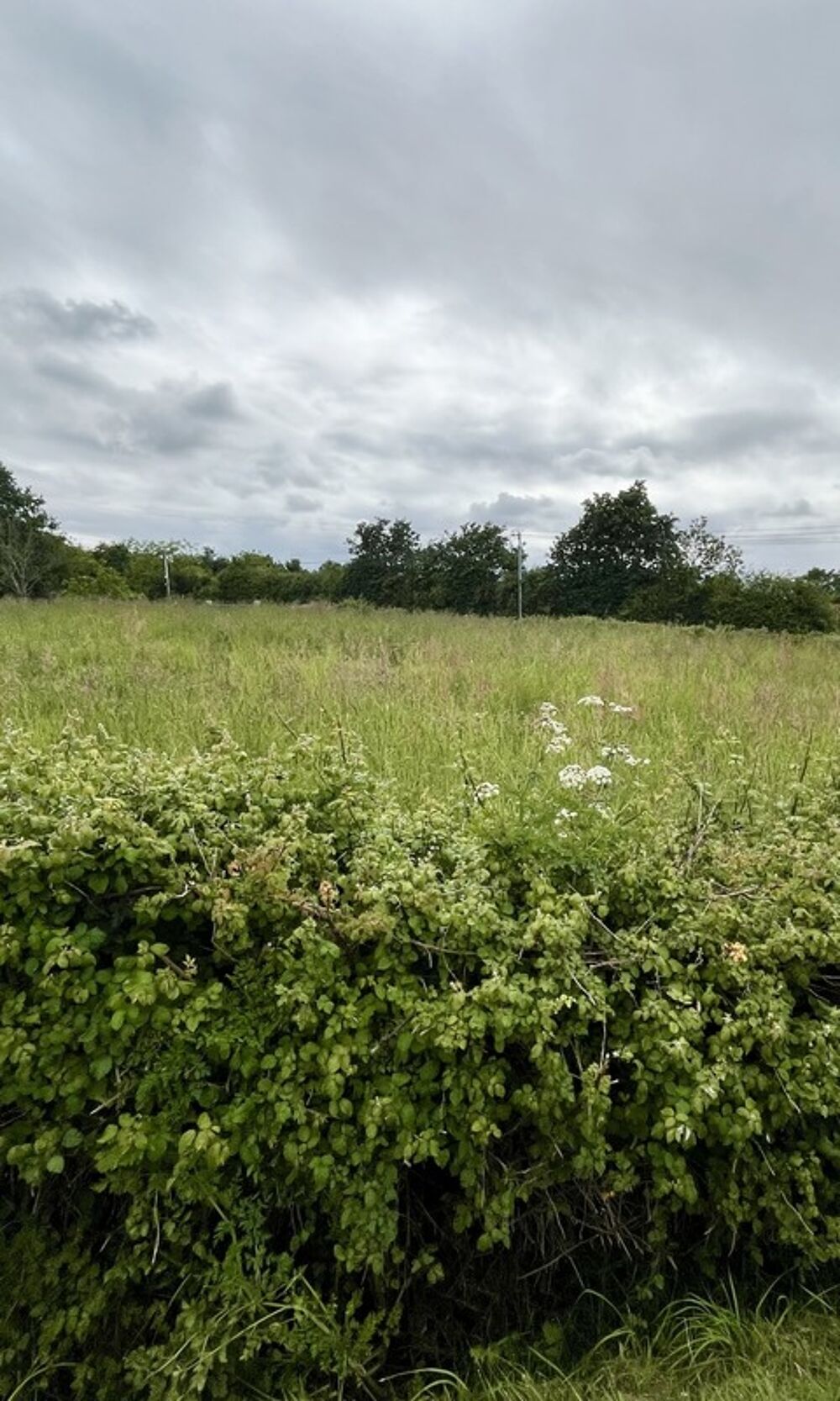 Vente Terrain Terrain 828 m²  LEGE (44) Lege
