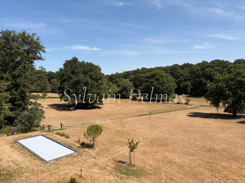 à vendre  Propriété/château Loches (37600)