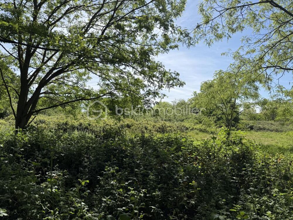 Vente Terrain Le Mans – Grande parcelle non constructible de 10 138 m² OFFRE ACCEPTÉE Le mans