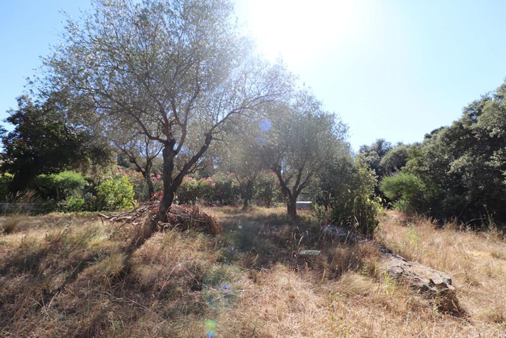 Vente Terrain Terrain constructible Boisseron Boisseron