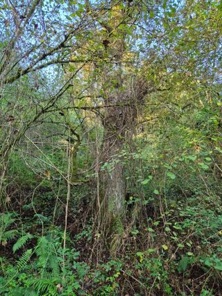  Terrain � vendre 16281 m�