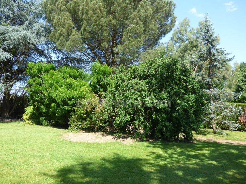 Maison 4 chambres, sous-sol et magnifique jardin