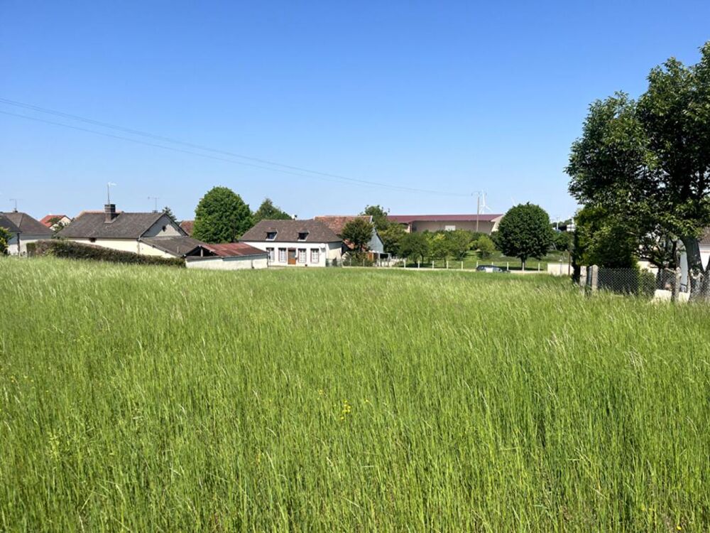 Vente Terrain Terrain constructible pour partie, 7090 m2 Les grandes chapelles