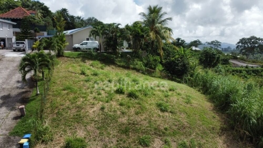Vente Terrain Dpt Martinique (972),  vendre GROS MORNE terrain Gros morne