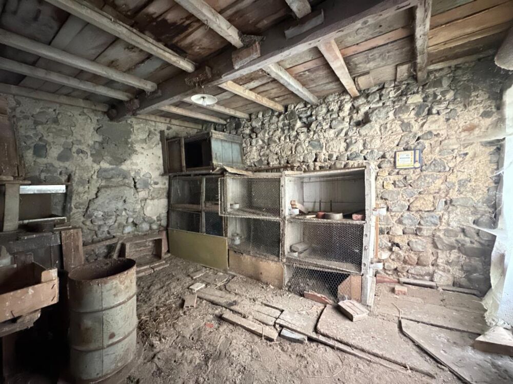 Vente Remise/Grange 3 granges d'une surface de 190m² à Dallet (Mur-sur-Allier) Dallet