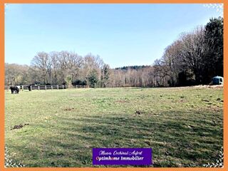  Terrain à vendre 38000 m²