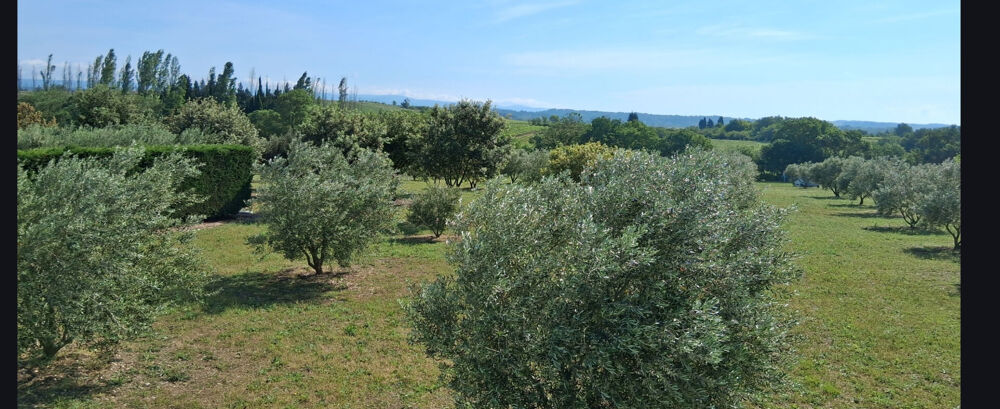 Vente Terrain 11465 m² - Vue 4
