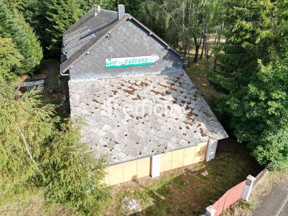 Vente Propriété/Château Demeure Aurieres